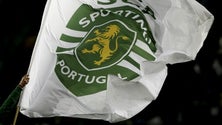 Imagem de Sócios do Sporting na Madeira têm até ao fim da semana para votar nas eleições no clube