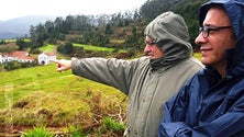 Imagem de Madeira disponibiliza Banco de Terrenos para estimular investimento na agricultura