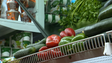 Imagem de Isenção de IVA pode chegar a 30 a 40 produtos alimentares (vídeo)