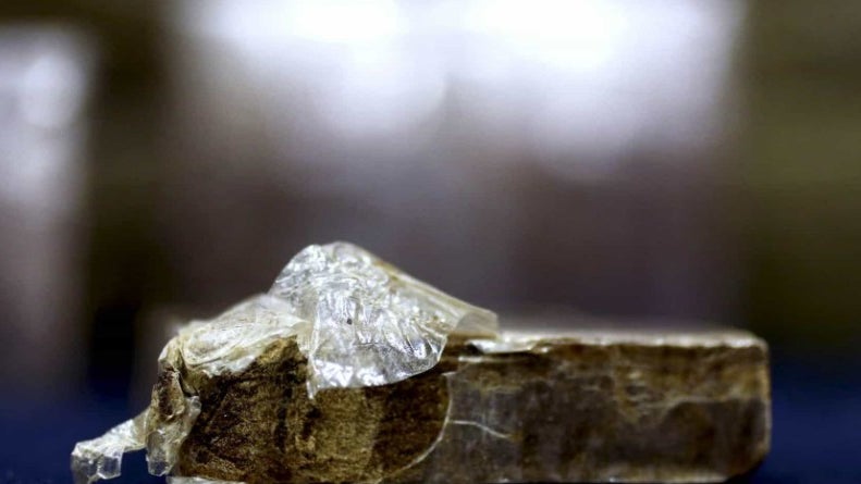 Imagem de Apreendida uma tonelada de cocaína em veleiro