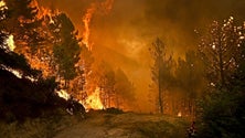 Imagem de Há 41 fogos ativos em Portugal