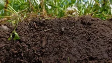 Imagem de Governo Regional vai investir 188 mil euros em análises aos solos agrícolas (Vídeo)