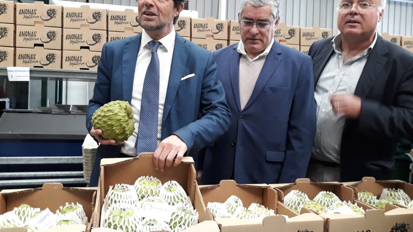 Imagem de Governo Regional está a diligenciar para recuperar voos da Germania Airlines