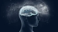 Imagem de Ministra sublinha necessidade de reforço do apoio à saúde mental no ensino superior
