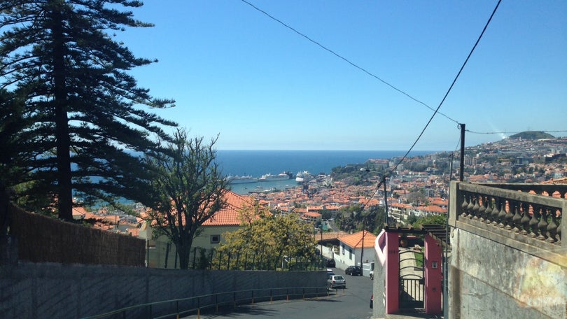 Madeira mete 5,6 milhões nos transportes públicos terrestres