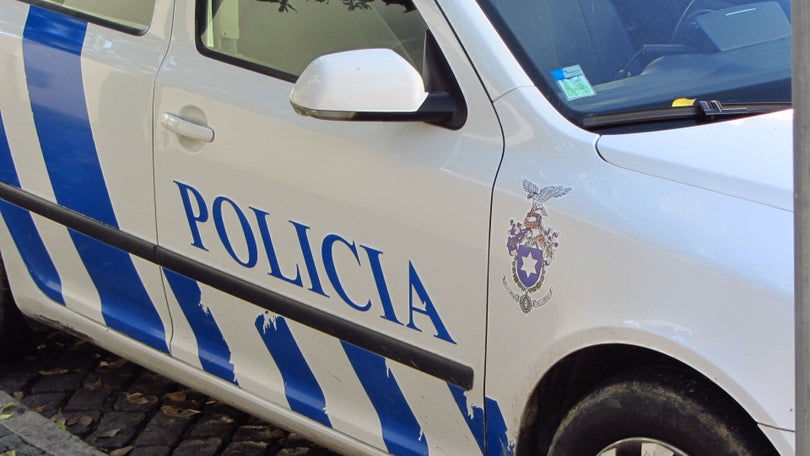Imagem de PSP detém homem que matou cão no Funchal