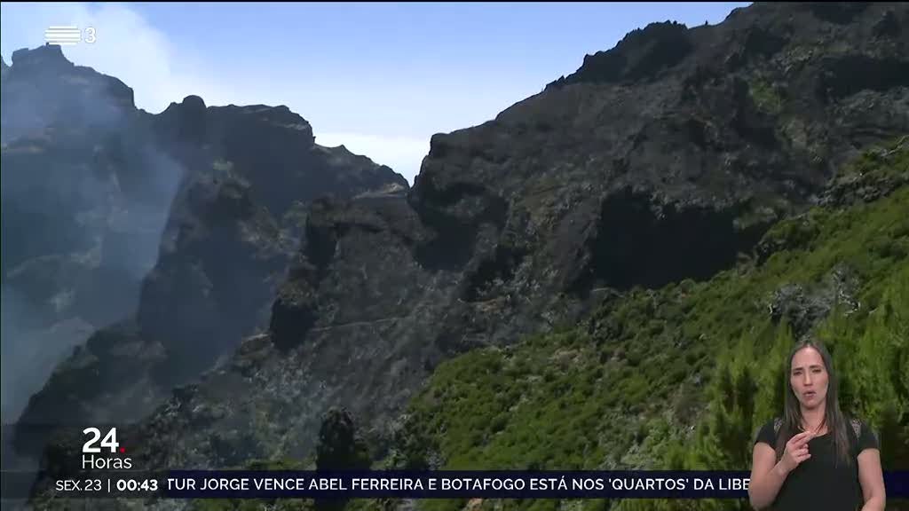 Incêndios na Madeira. Floresta Laurissilva "marginalmente atingida"