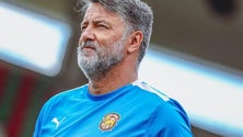 Imagem de Tulipa quer um melhor desempenho da sua equipa (áudio)