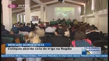 Imagem de “O Trigo da Capitania” foi o tema debatido para a edição deste ano do Mercado Quinhentista de Machico (Vídeo)