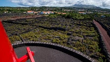 Imagem de Açores com condições para atrair nómadas digitais (Som)