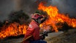 Imagem de País está mais bem preparado para evitar fogos de grandes dimensões