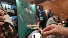 Imagem de Essência do Vinho trouxe 56 expositores (vídeo)