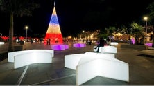 Imagem de Macedos e Luxstar vencem concursos para iluminar o Funchal no Natal e fim de ano
