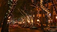 Imagem de Madeira investe 3,2 M€ no programa de Natal e Fim do Ano (Vídeo)