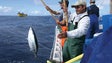 Capturas de atum e peixe-espada preto sobem perto 50%
