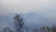 Bombeiros vão permanecer na Ponta do Pargo durante a noite para garantir o fim do incêndio (Vídeo)