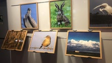 Imagem de Fotógrafo alemão retrata lado selvagem do estuário do Tejo
