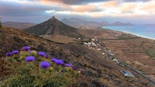 Imagem de Candidatura do Porto Santo a reserva da Biosfera entregue à Unesco