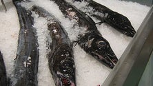 Imagem de Muito peixe para poucos compradores