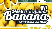 Imagem de Cultura da banana promovida este fim de semana