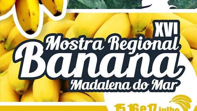 Imagem de Cultura da banana promovida este fim de semana