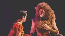 Imagem de Musical Rei Leão levou 120 crianças a palco