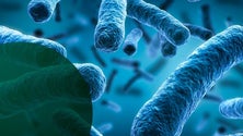 Imagem de Cientistas encontram substância que pode aliviar resistência aos antibióticos