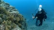 Imagem de Neto de Cousteau quer estação espacial internacional dos mares (vídeo)
