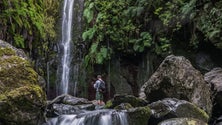 Imagem de Madeira com acréscimo de reservas de turistas no 1.º trimestre deste ano (áudio)