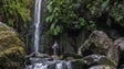 Imagem de Madeira com acréscimo de reservas de turistas no 1.º trimestre deste ano (áudio)