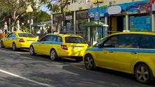 Imagem de Taxistas voltam a pedir ajuda ao Governo Regional (Vídeo)