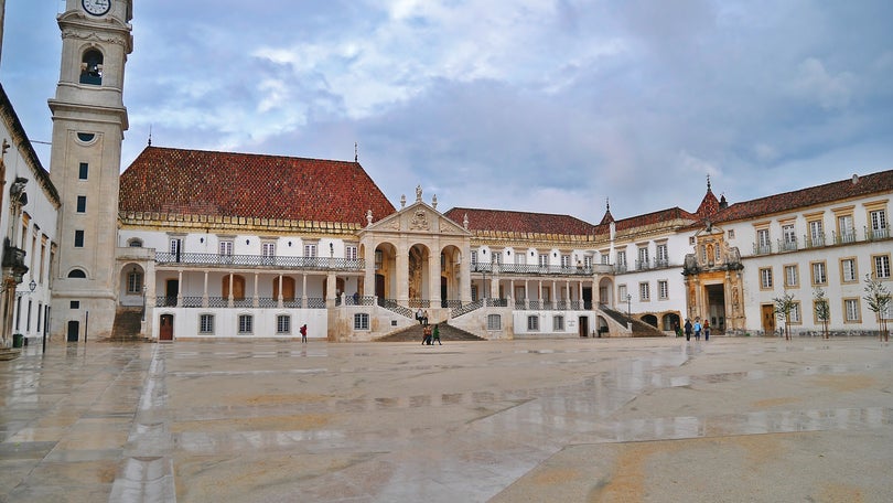 Universidade de Coimbra elimina carne de vaca das cantinas universitárias