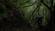 Imagem de TransMadeira junta 140 ciclistas para pedalar 220 kms (vídeo)