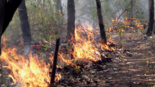 Incêndio ativo no Jardim da Serra