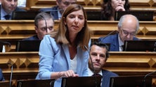Imagem de Deputados do PSD/M em São Bento vão fazer voto de protesto ao ministro do Ensino Superior (Áudio)