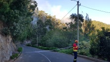 Imagem de Incêndio no sítio da Furna mobiliza Bombeiros Voluntários Madeirenses e Bombeiros da Ribeira Brava