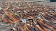 Imagem de Limitação de espaços para congelação obriga os barcos a deixarem muito gaiado no mar (áudio)