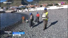 Imagem de Escolas promovem a limpeza das praias com os alunos (vídeo)