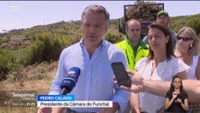 Imagem de Funchal investiu um milhão e meio de euros na limpeza de plantas invasoras e na reflorestação (vídeo)