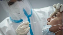 Imagem de Covid-19: Dupla testagem à chegada à Madeira para estudantes e emigrantes já está em vigor
