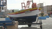 Imagem de Pescadores de São Jorge descontentes com a Sata (Vídeo)