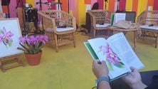 Imagem de «20 orquídeas antigas da Madeira» apresentado no Funchal (áudio)