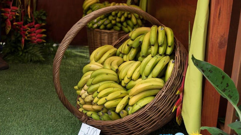 Imagem de Mostra da Banana adiada para 21 e 22 de julho