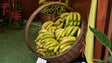 Mostra da Banana adiada para 21 e 22 de julho