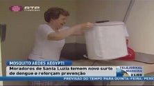 Imagem de População de Santa Luzia no Funchal incrementa medidas de proteção contra mosquito do dengue