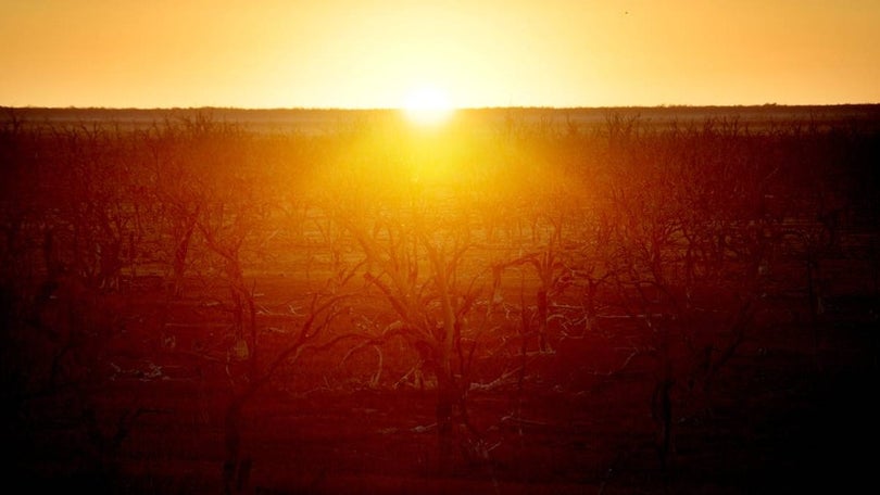 Ponto irreversível do aquecimento global pode já ter sido atingido