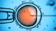 Procriação medicamente assistida sofre atrasos devido à pandemia (Som)
