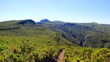 Imagem de Reforço de meios para encontrar turista