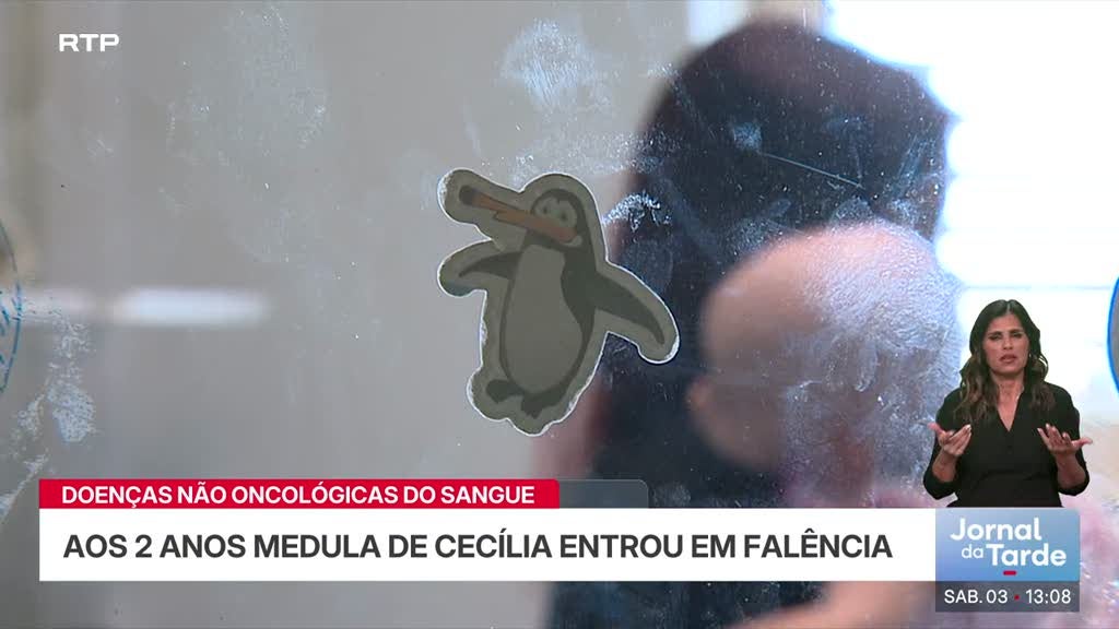 Imagem de Transplante de medula óssea. País já trata doenças não oncológicas do sangue