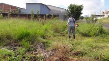 Limpar terrenos até maio (vídeo)